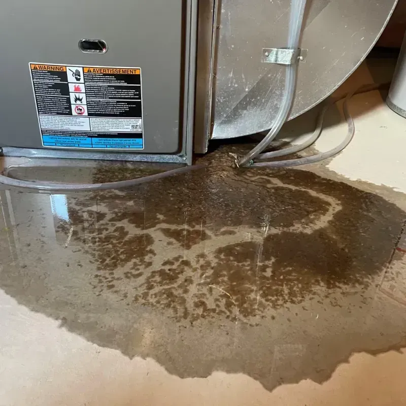 Appliance Leak Cleanup in Biglerville, PA